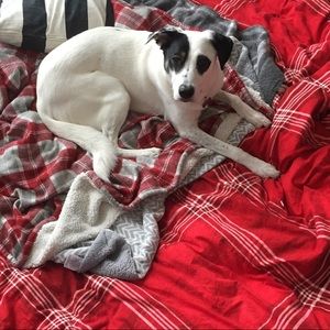 Meet your Posher, Brittney